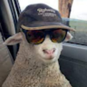 Meet your Posher, Harper